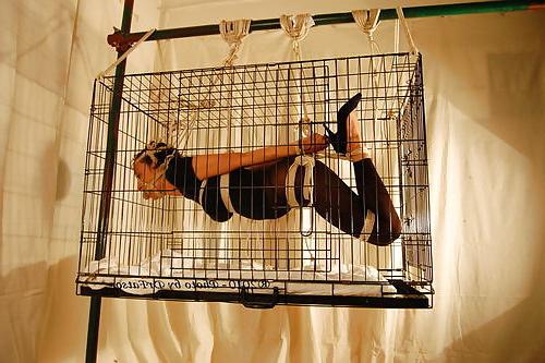 23P Cage 16!