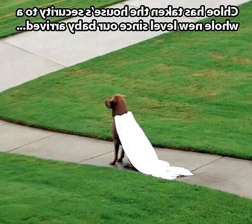 11P Funny quotes and pics #6