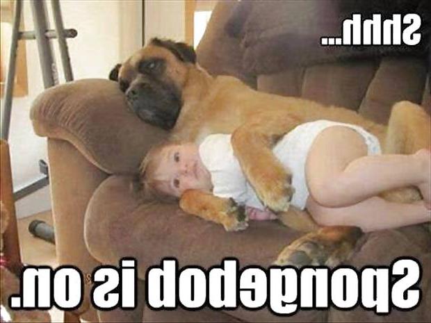 11P Funny quotes and pics #6