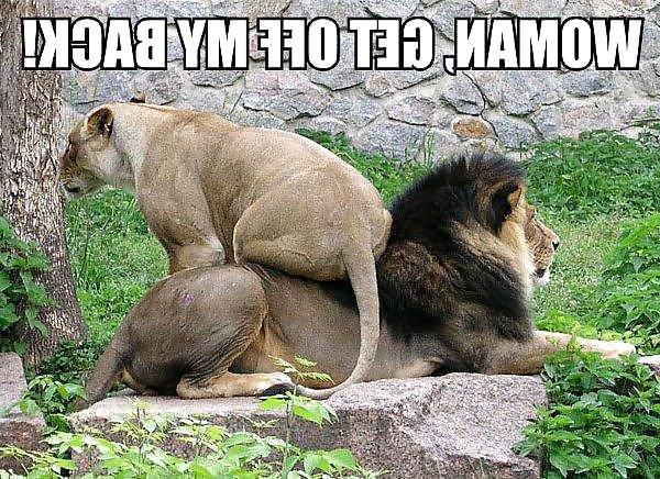 8P Funny quotes and pics #7