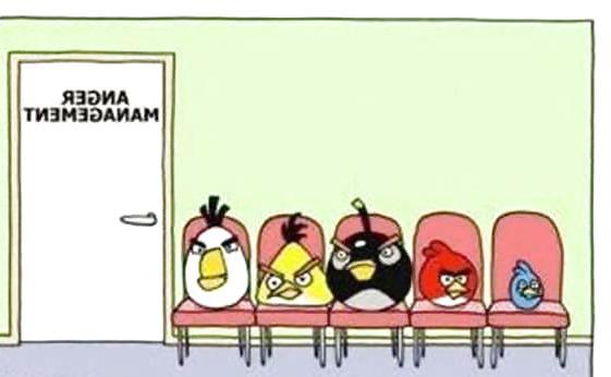 8P Funny quotes and pics #7
