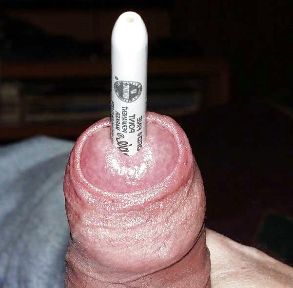 17P Funny Photos 