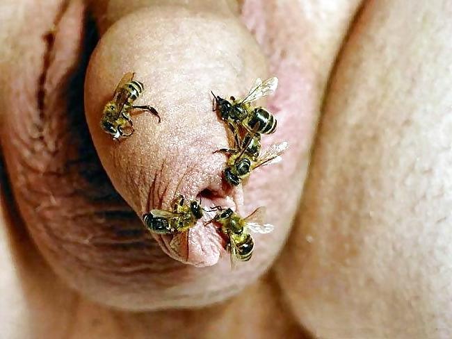 17P Funny Photos 