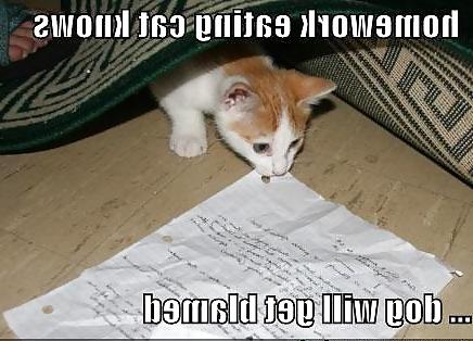 8P Funny Jokes and PIcs