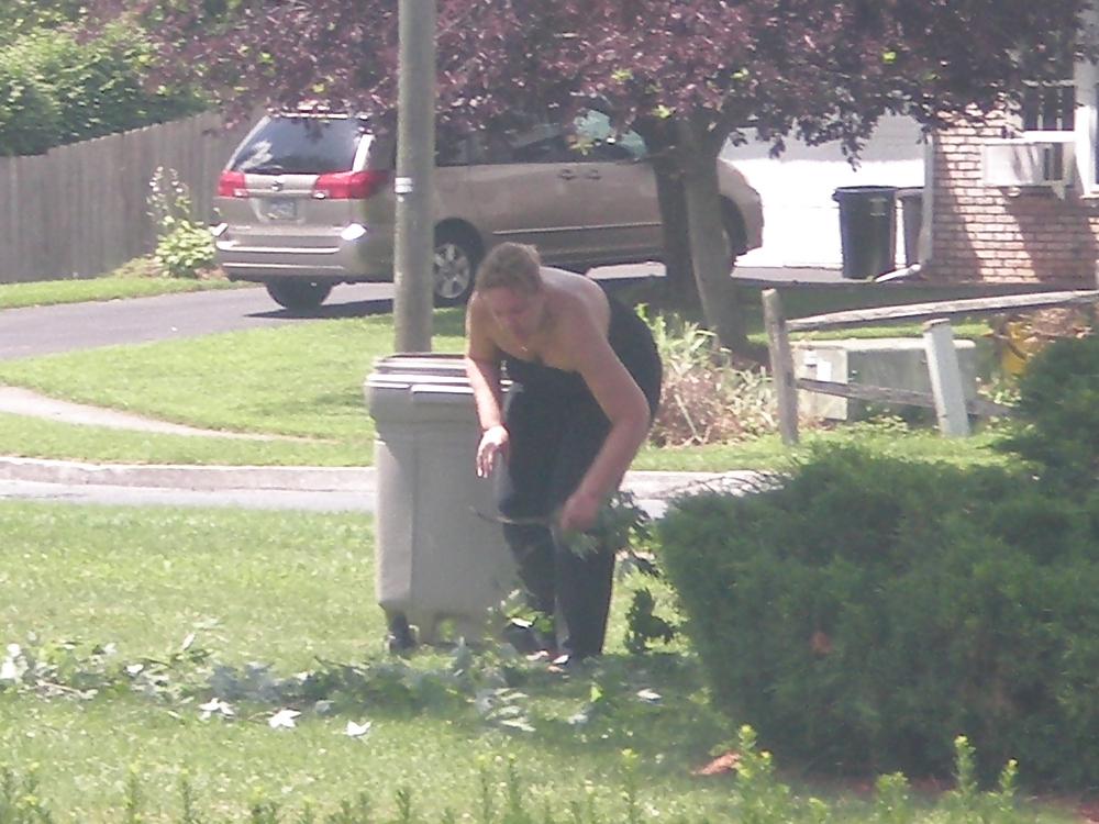 21P Neighbor 3