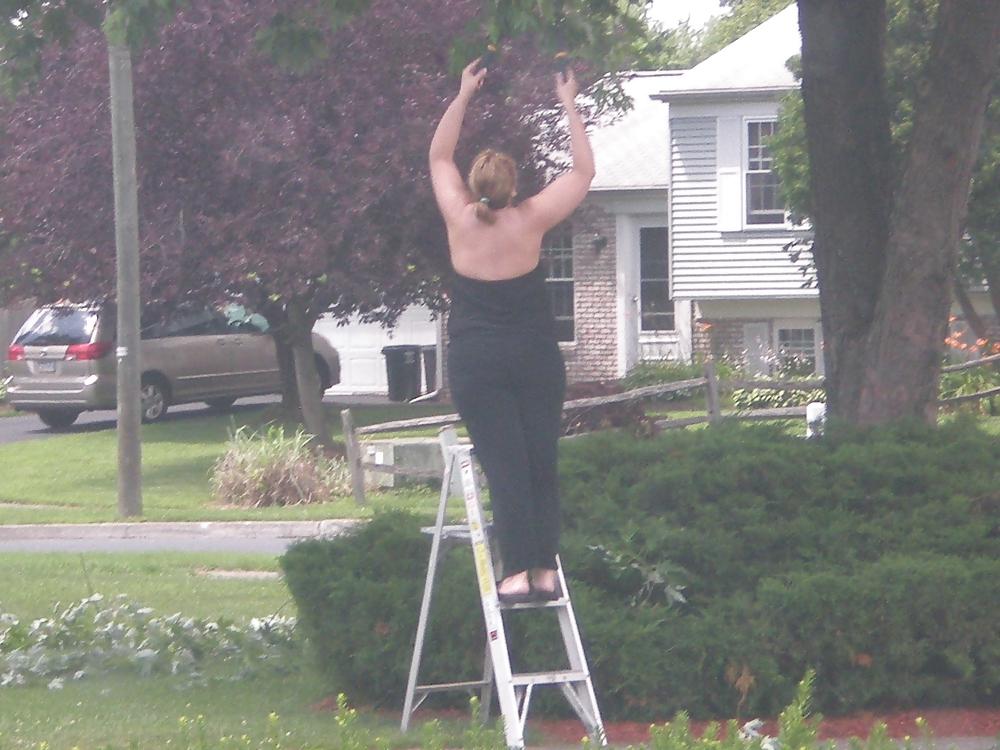 21P Neighbor 3