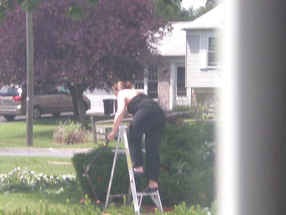 21P Neighbor 3
