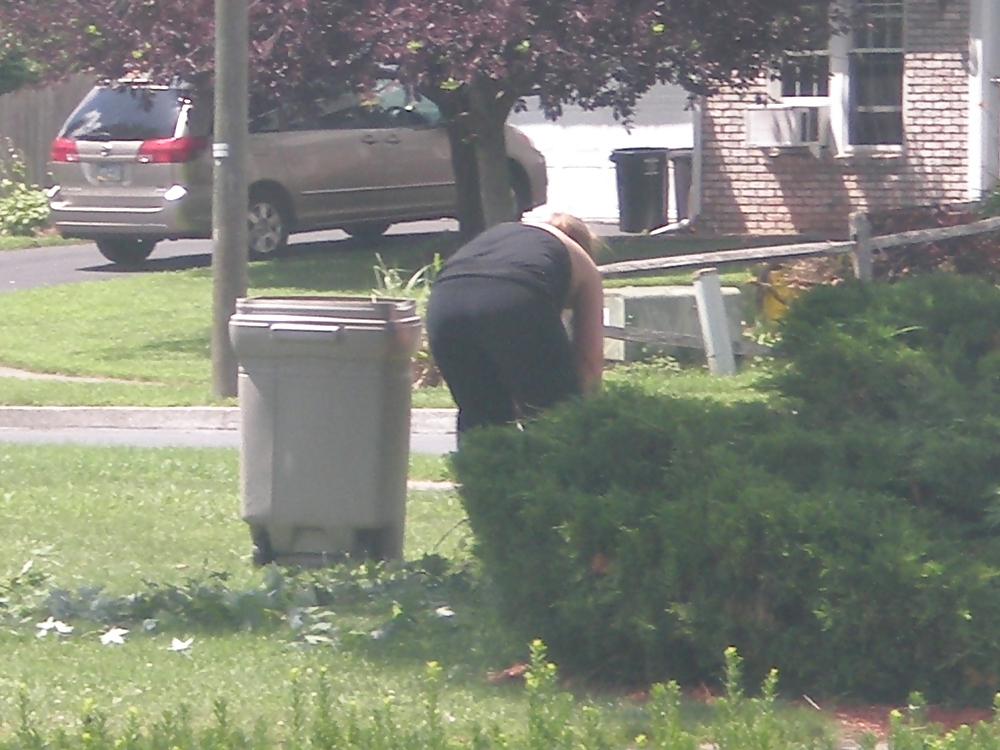 21P Neighbor 3