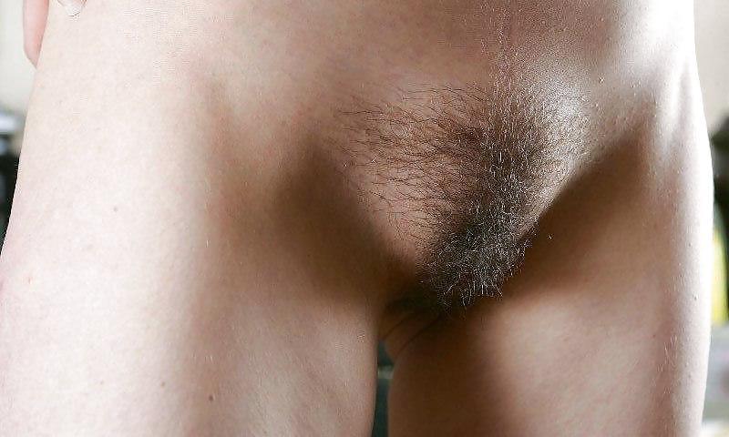 25P Hopelessly Haughty Hirsute Honies