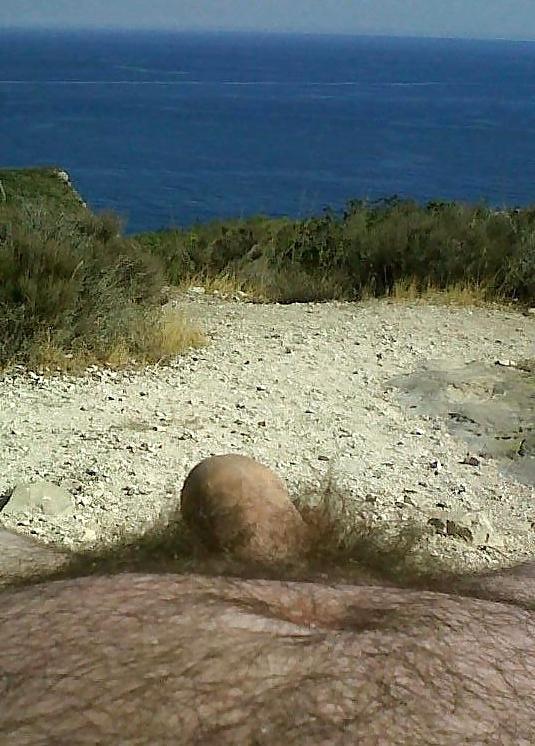 6P Holiday Snaps