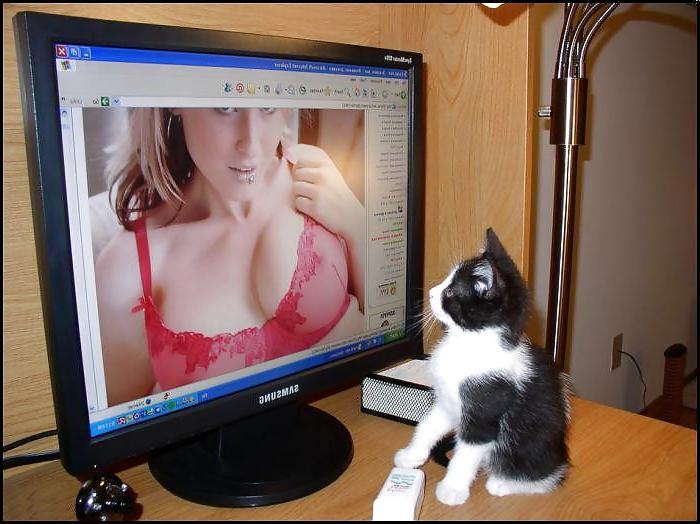 25P Funny Pics 2    verybigcandy