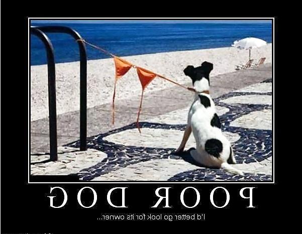 11P Funny  quotes and pics 3
