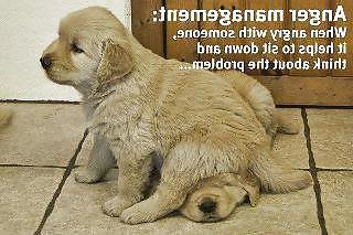 11P Funny  quotes and pics 3