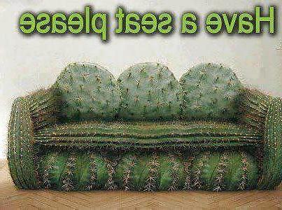 11P Funny  quotes and pics 3