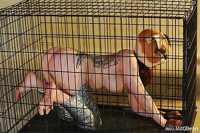 25P Cage 20!