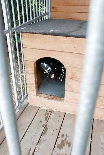25P Cage 20!
