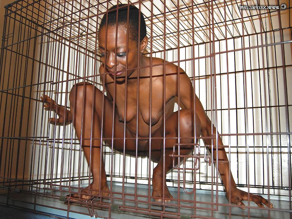 25P Cage 20!