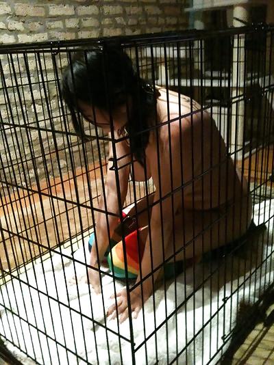 25P Cage 20!