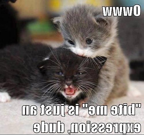 24P Funny Quotes Pics Mixed # 15