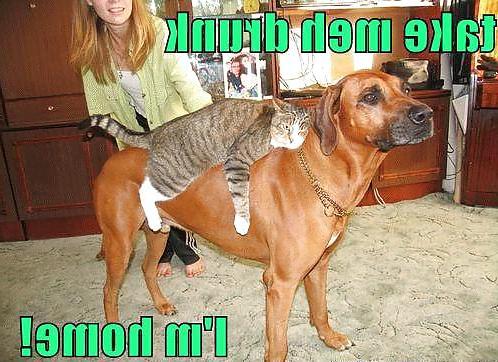 14P Funny quotes and pics #8