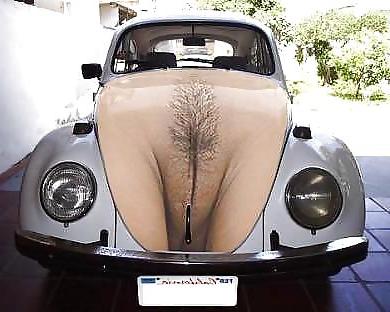 25P Funny Pics 3 by TROC