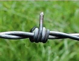 25P Funny Pics 3 by TROC