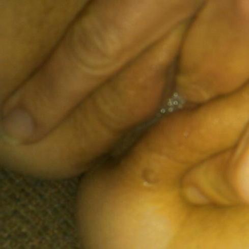 7P Pussy lovers 