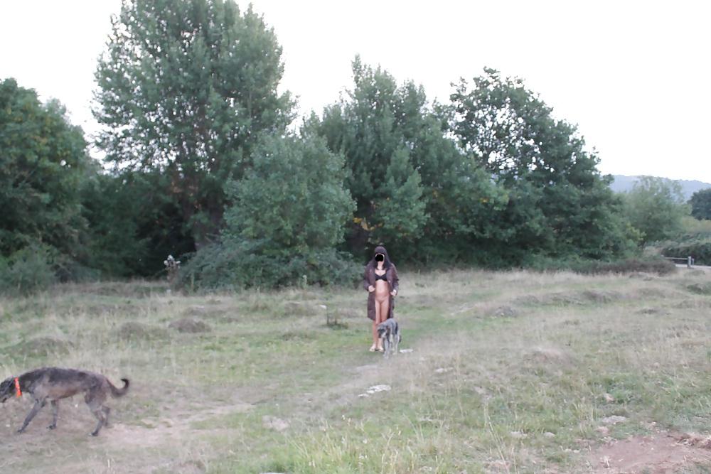 18P Dogging and flashing on the common