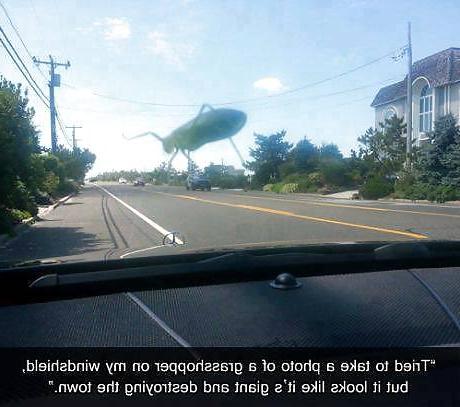 15P Funny Quotes Pics Mixed # 14