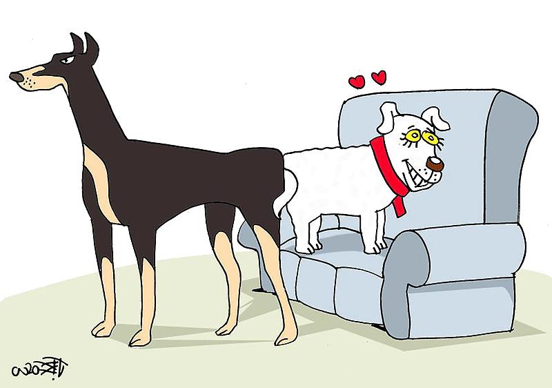 12P Funny Cartoons 2
