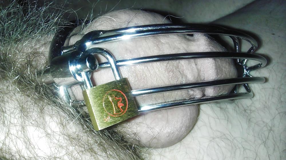 8P Caged and denied