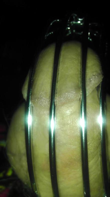 8P Caged and denied
