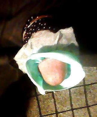 15P Nice picture of my Penis