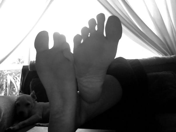 25P Webcam friend soles