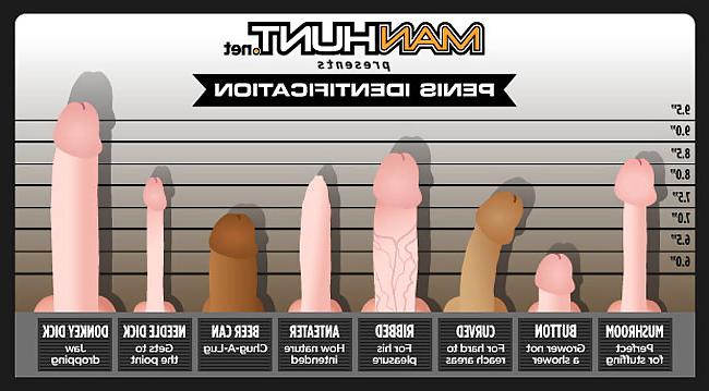 17P Phallus - Funny 