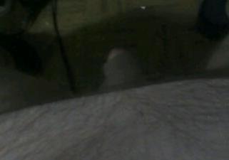 25P Random shots of my penis