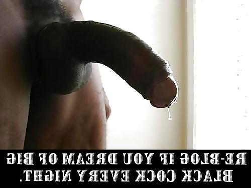 25P Sissy ...............
