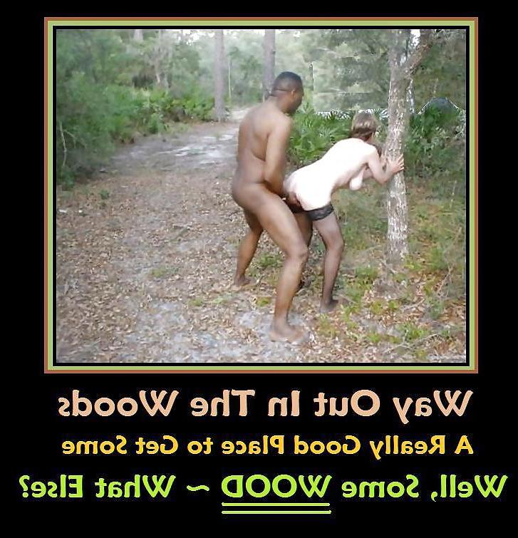 20P CCCXXXVII Funny Sexy Captioined Pictures & Posters 120213