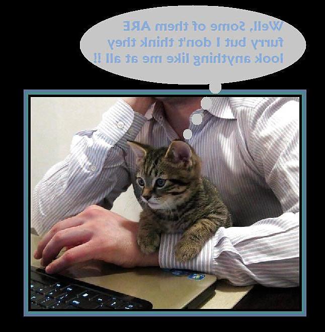 20P CCCXXXVII Funny Sexy Captioined Pictures & Posters 120213