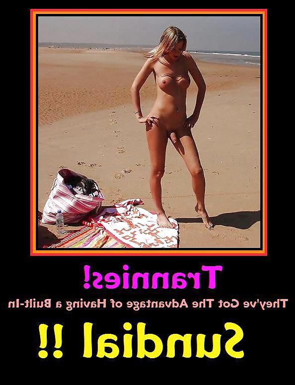 20P CCCXXX Funny Captioned Pictures & Posters 111513