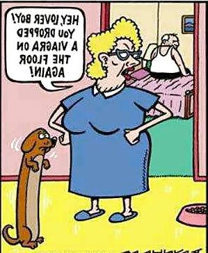 7P FunnY Quotes LOL