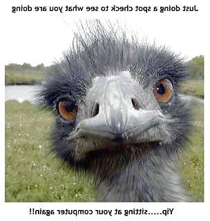 7P FunnY Quotes LOL