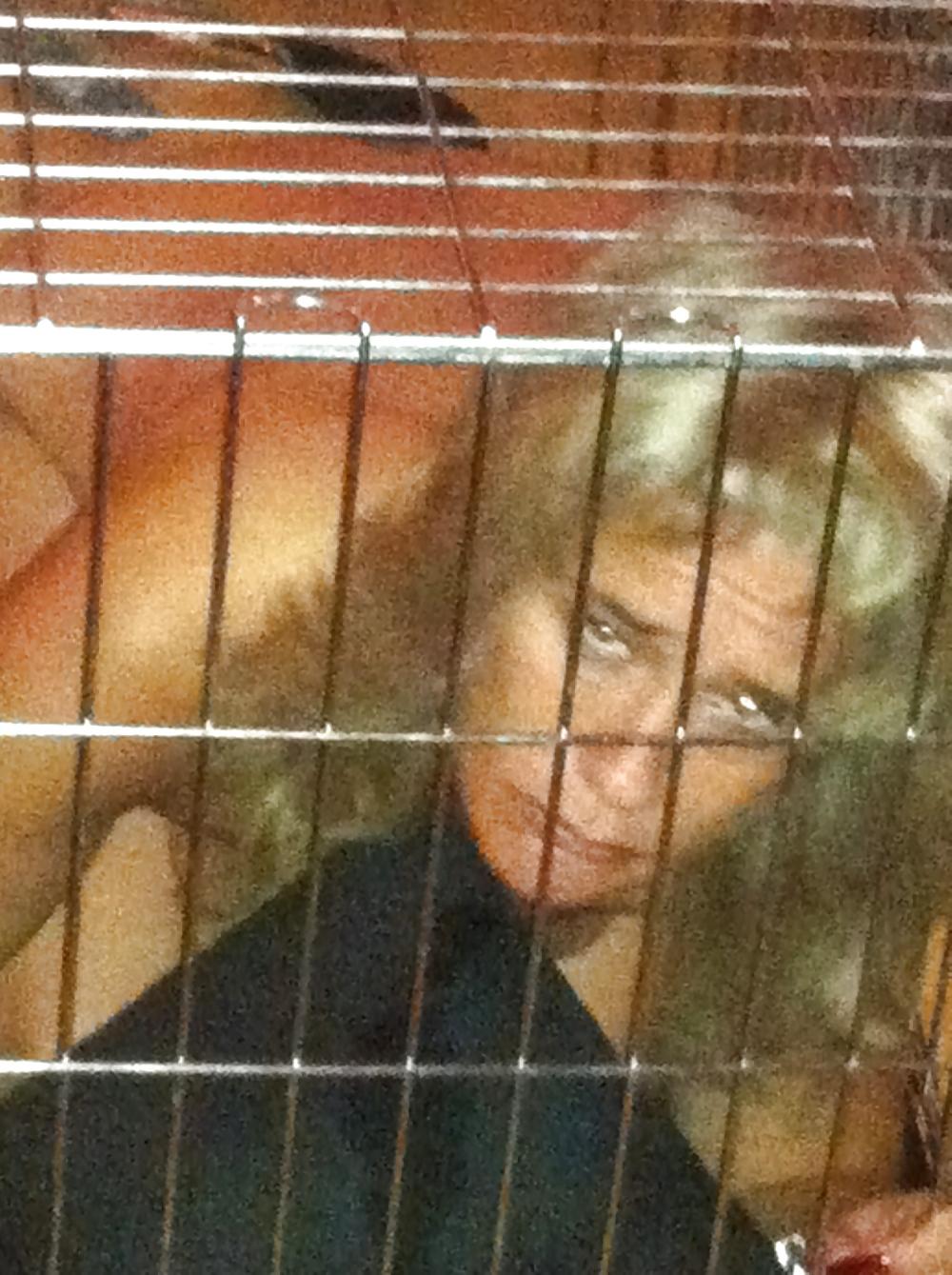7P Slave in cage