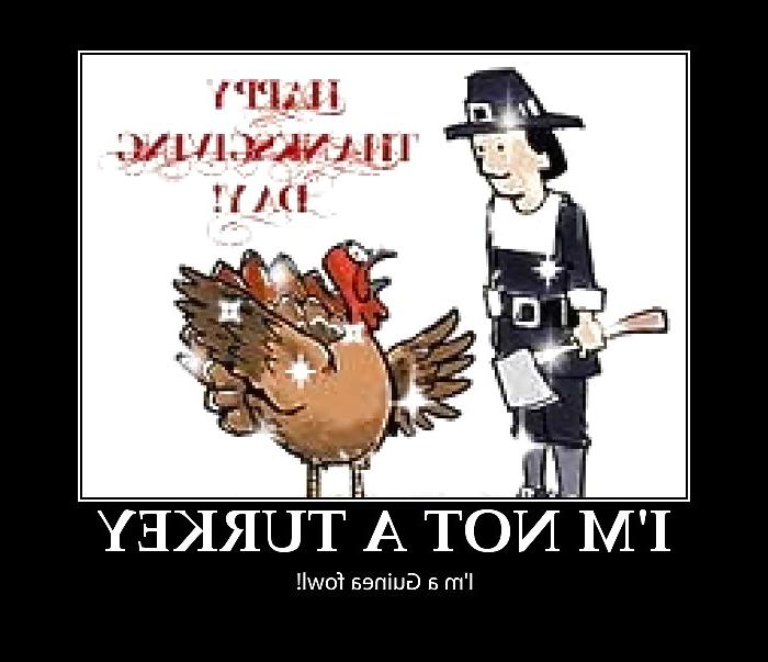 25P Funny Happy Thanksgiving by SLAVE2PUSSY