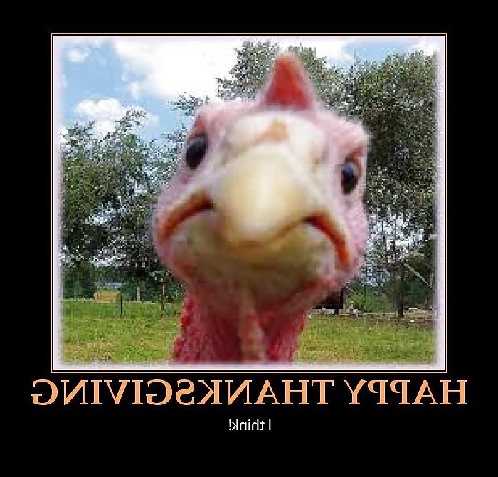25P Funny Happy Thanksgiving by SLAVE2PUSSY