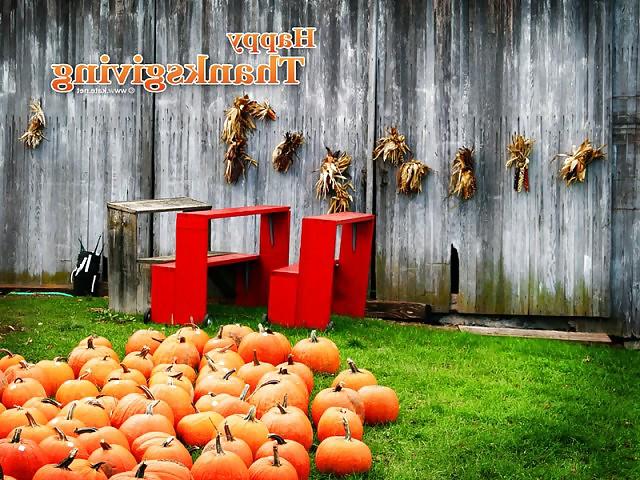 25P Funny Happy Thanksgiving by SLAVE2PUSSY