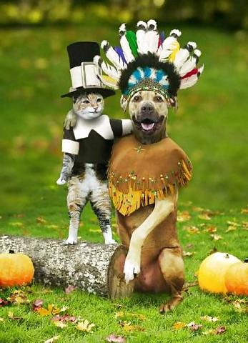 25P Funny Happy Thanksgiving by SLAVE2PUSSY