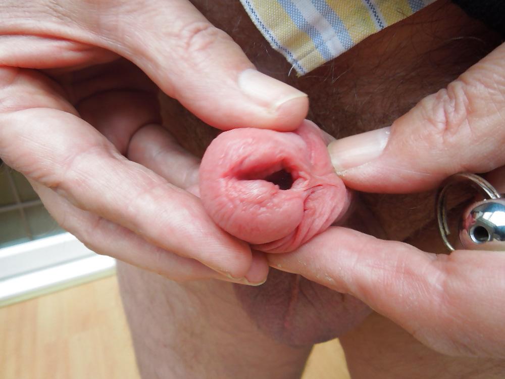 14P Penis plug 14.3 all in cock