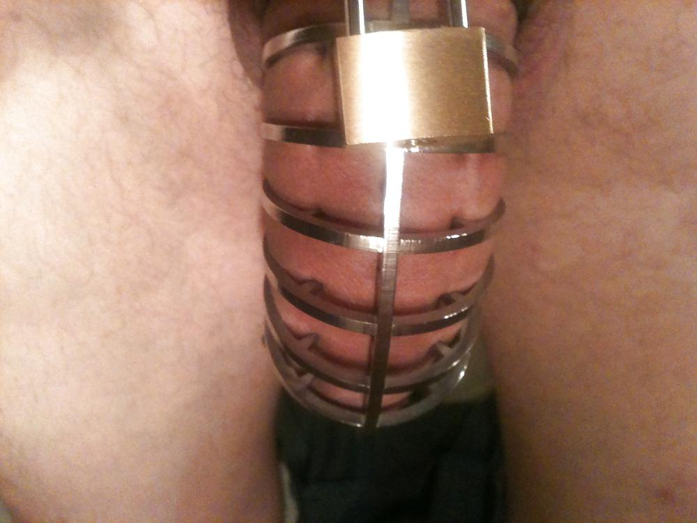 15P Chastity cage 