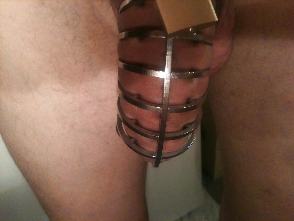 15P Chastity cage 